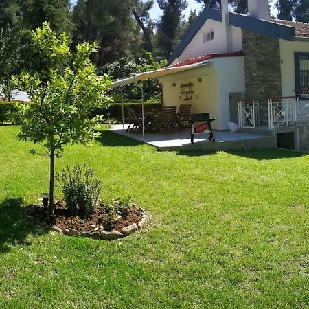 Nirvana House Sani  Dış mekan fotoğraf