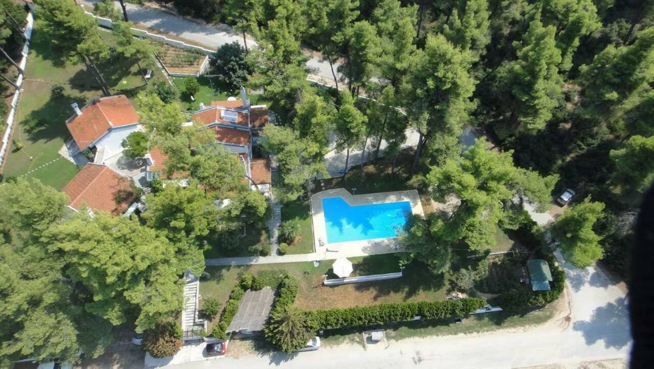 Nirvana House Sani  Dış mekan fotoğraf