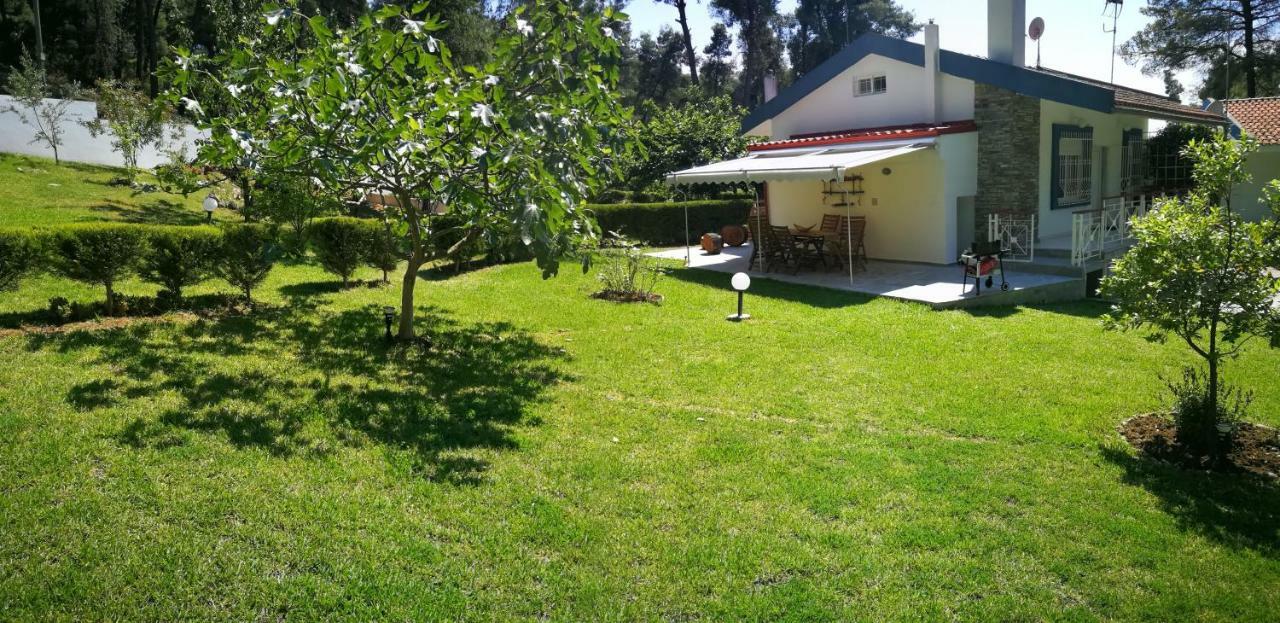 Nirvana House Sani  Dış mekan fotoğraf